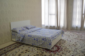 Apartment on Panfilov street, 145